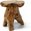 WELLAND Natural Cedar Stump Stool, 14" End Table, Live Edge Side Table, Plant Stand, Small Nightstand, Mushroom Stool for Living Room, Bedroom, Patio, Garden